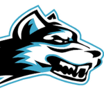 team wolves gamers
