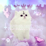 † hexxedforever