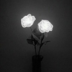 xxdarksxx