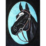 Spartan Hope Stables