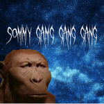 The Sommy Gang