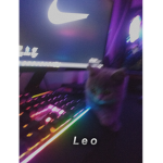 L e o < 3