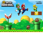 the mario bross.