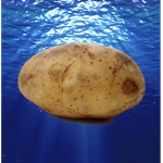 Wet Potato Clan