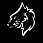 The_Asian_Group