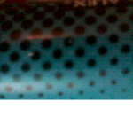 Butterflyz <3