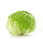 LettuceBOI