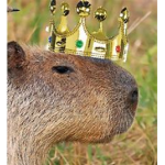 Capybara.World