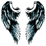 A.L.S.C