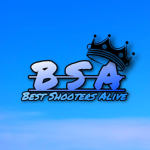 BSA - BestShootersAlive