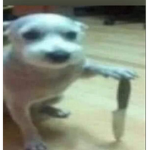 Contestaaaaaaaaaaaaaaaaaaaaaaaaaaaaaaaaaaaaaaaaaaa