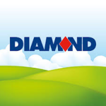 Diamond Bus LTD