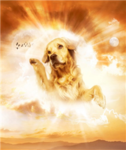 The Great Dog Gods