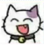 OFFICAL INTROYT FANCLUB