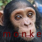 epic m o n k e