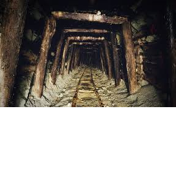 Dig tunnels