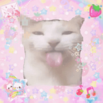 Kitty and my friends