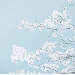 *Frost*