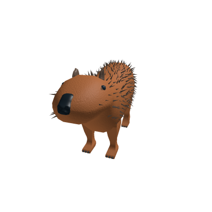 coconutdoggy