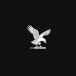 Joint Special Forces Aviation Wing 