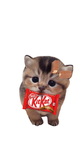 CookieKatX