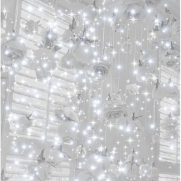 𝑜𝓃𝓁𝓎