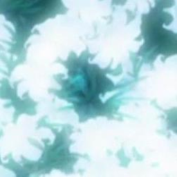 ✫ﾟ