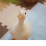 DaHoodDuckPeople