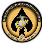 Marine Special Operαtion Command