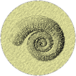 Twisttail fossil