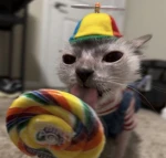 Spooky’s Sanctuary Group Thumbnail