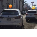 SÚBDITOS