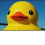 its nelly bois