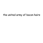 The United Army Of Bacon Hairs