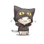 CATS R AMAZING!!!!!