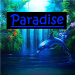 Paradise Clothing Co.