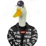 Duckyy and Friends