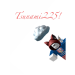 Tsunami225's Awesome Fans!