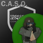 [AT] Close Air Support Operations
