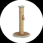 Game Pass Icon