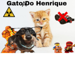 os cria de beaga e noise