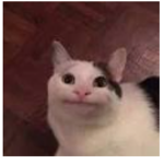 ThatDinoKid