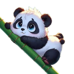 PANDY DOMINIKA