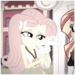 Flutter-shy