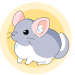 Chill Chinchillas.
