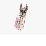 snny.llamas