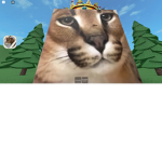 KatkerCatz Group