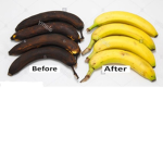 Banana Monke Studios