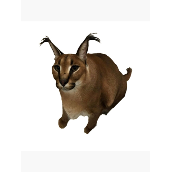 hjalleks's BaCkRoOmS eNtItY