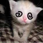 J3AL0U$Y